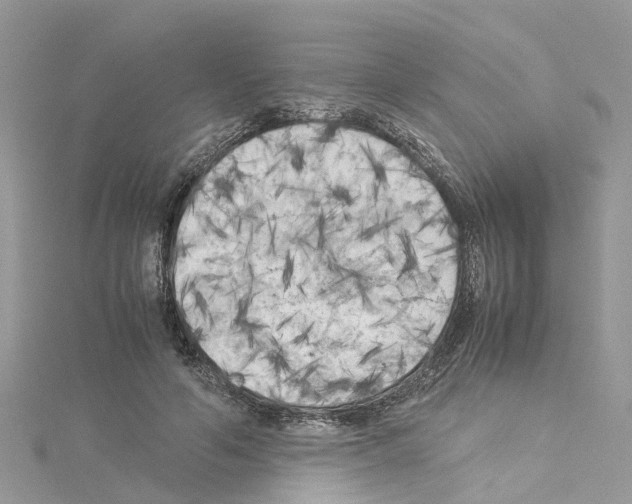 X0000114090594200911161039