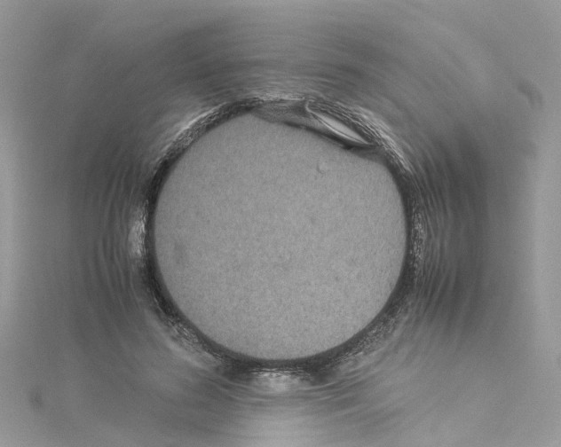 X0000114090596200911161039