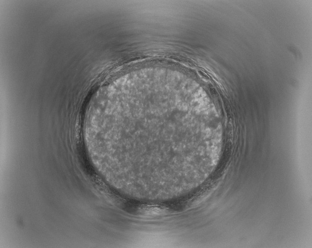 X0000114090597200911161039