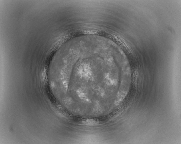 X0000114090598200911161039