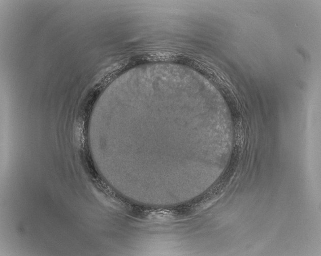 X0000114090599200911161039