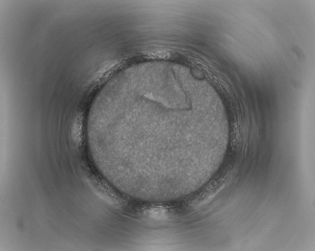 X0000114090600200911161039