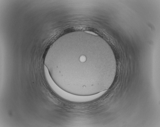 X0000114090601200911161039