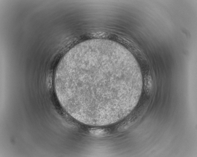 X0000114090602200911161038