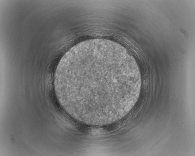 X0000114090605200911161038