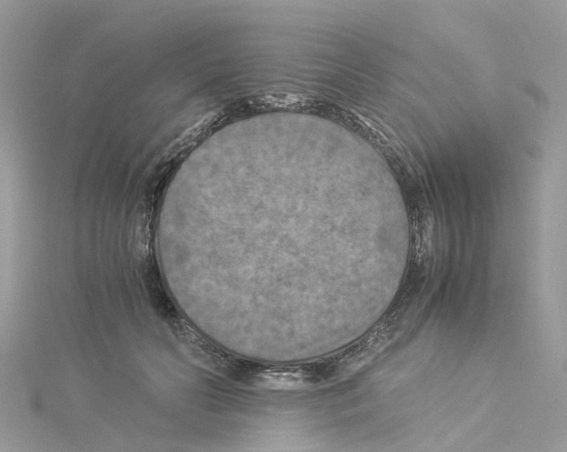 X0000114090606200911161038