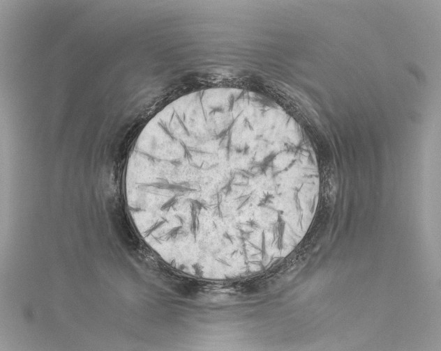 X0000114090607200911161038