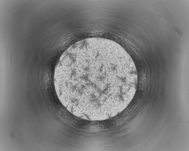 X0000114090608200911161038