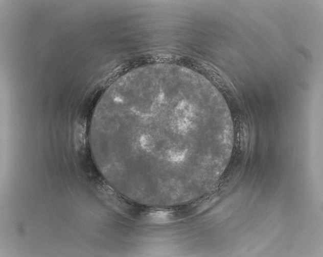 X0000114090610200911161038