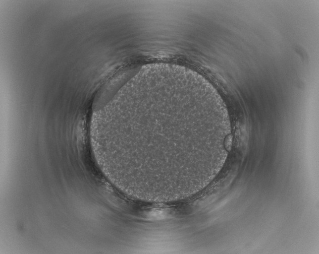 X0000114090612200911161038