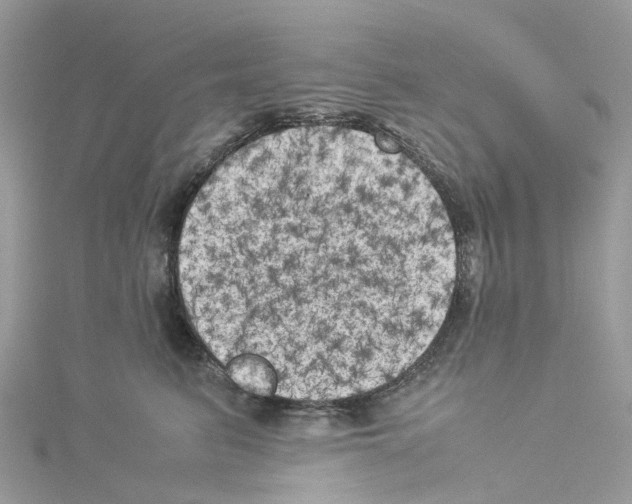 X0000114090615200911161038