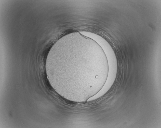 X0000114090617200911161038