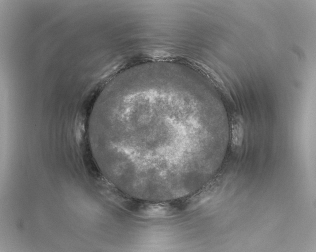 X0000114090618200911161038