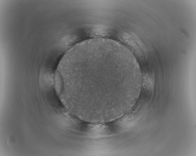 X0000114090621200911161038