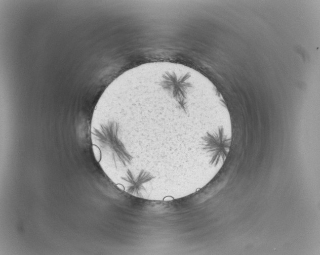 X0000114090624200911161038