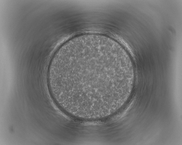 X0000114090625200911161038