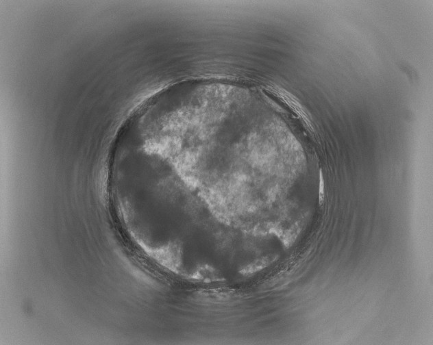 X0000114090627200911161038