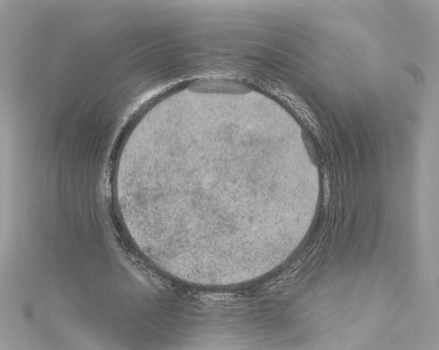 X0000114090628200911161038