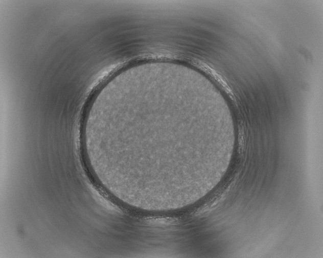 X0000114090629200911161038