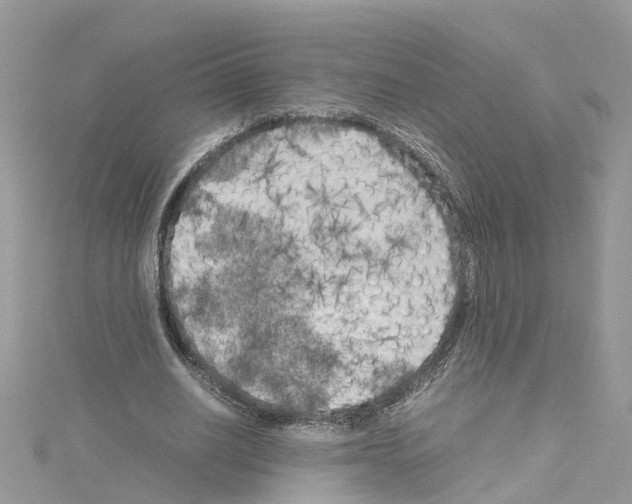 X0000114090630200911161038