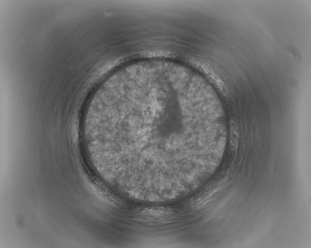 X0000114090631200911161038