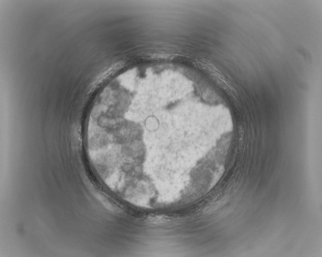 X0000114090634200911161038