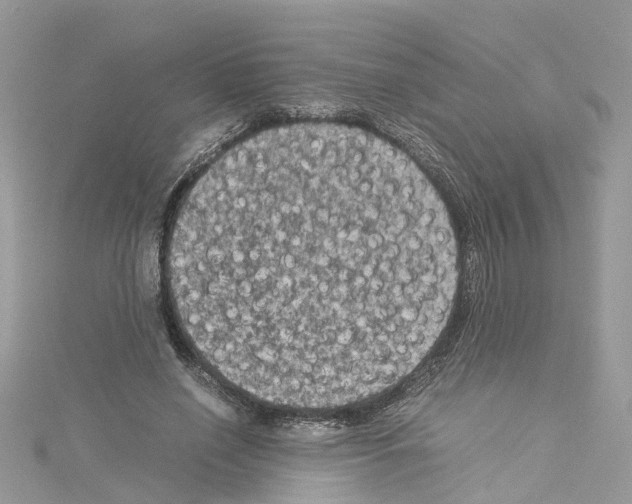 X0000114090638200911161038