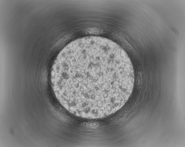 X0000114090639200911161038