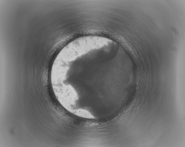 X0000114090640200911161038