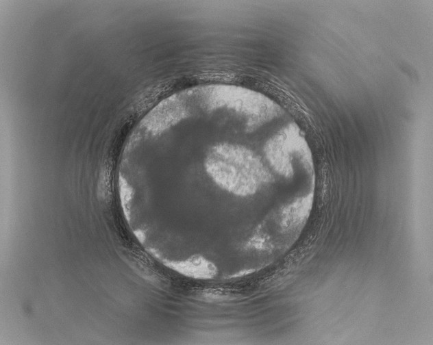 X0000114090641200911161038