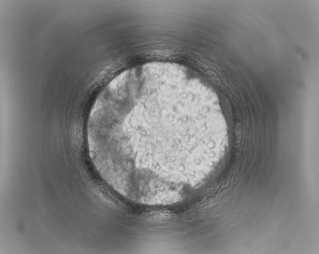 X0000114090642200911161038