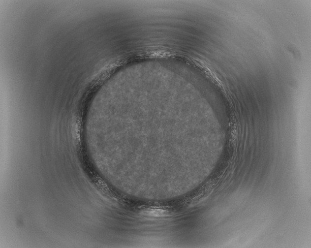 X0000114090643200911161038