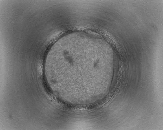 X0000114090644200911161038