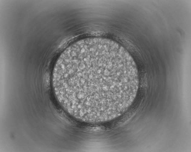 X0000114090646200911161038