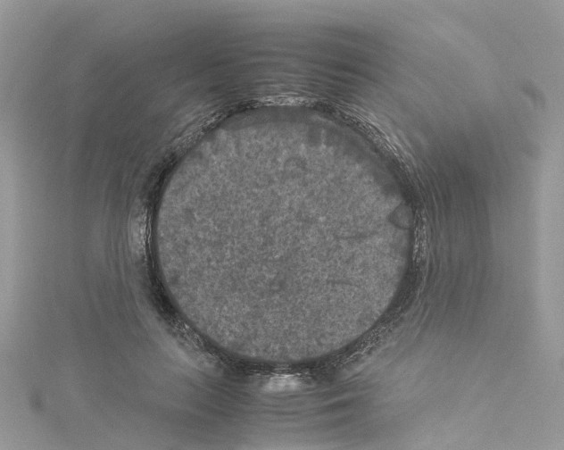 X0000114090647200911161038