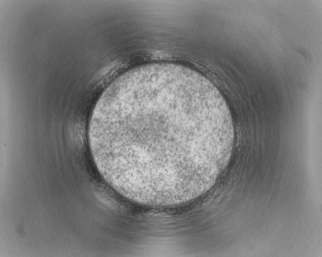 X0000114090648200911161038