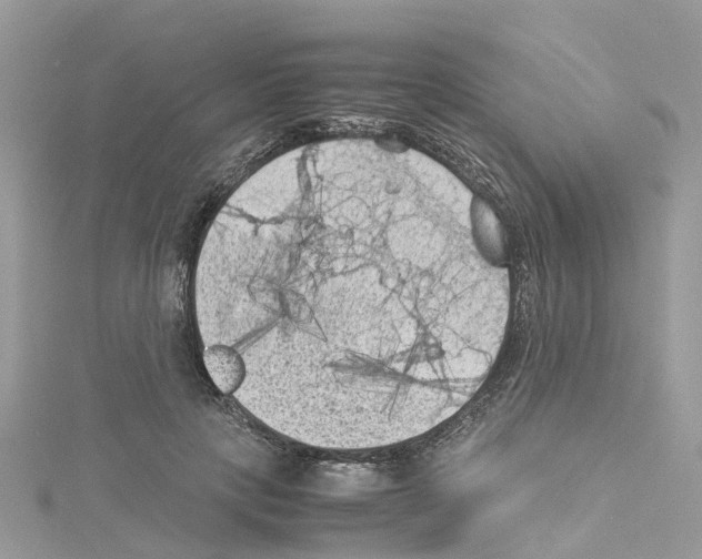 X0000114090649200911161038