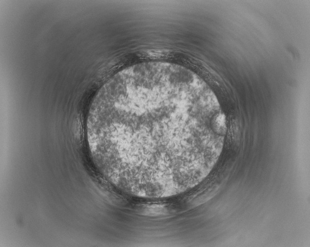 X0000114090651200911161038