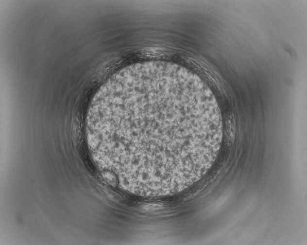 X0000114090653200911161038