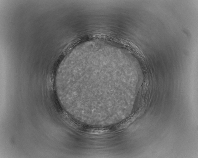 X0000114090661200911161038