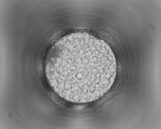 X0000114090662200911161038