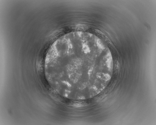 X0000114090663200911161038