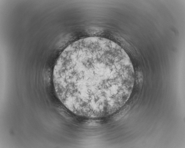 X0000114090664200911161038