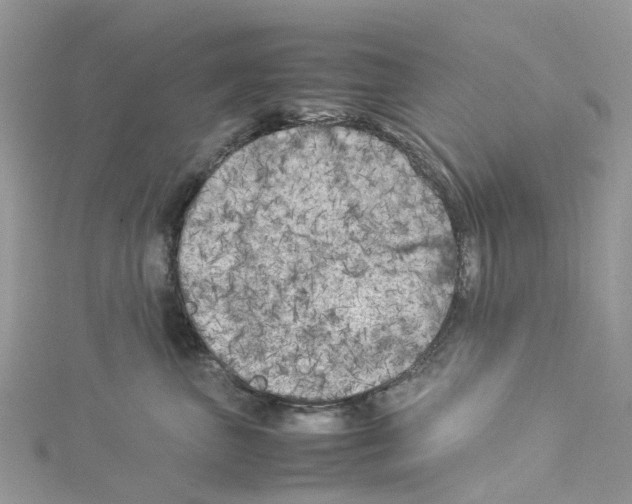 X0000114090667200911161038