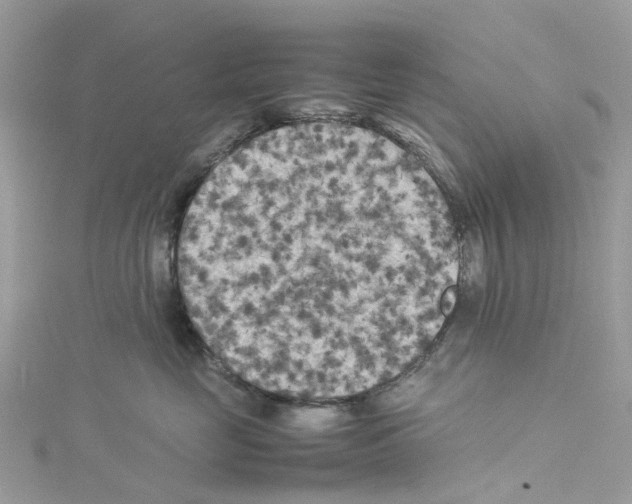 X0000114090669200911161038