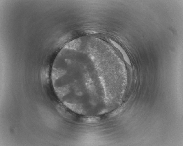 X0000114090670200911161038