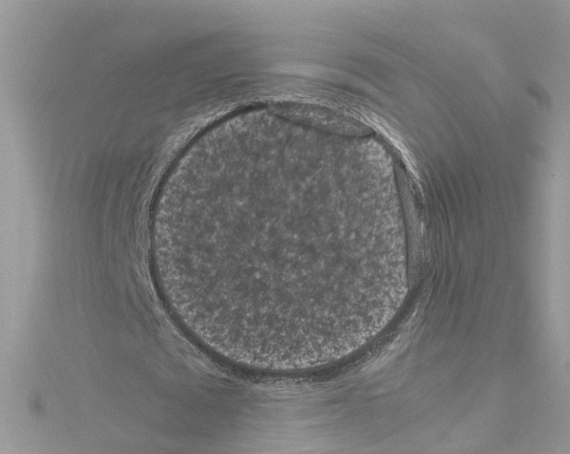 X0000114090673200911161038