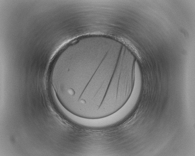 X0000114090676200911161038