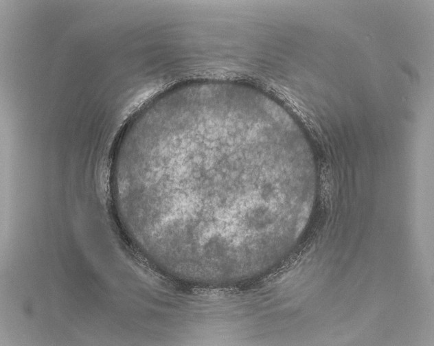 X0000114090679200911161038