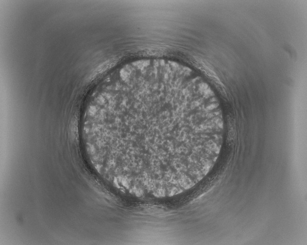 X0000114090681200911161037